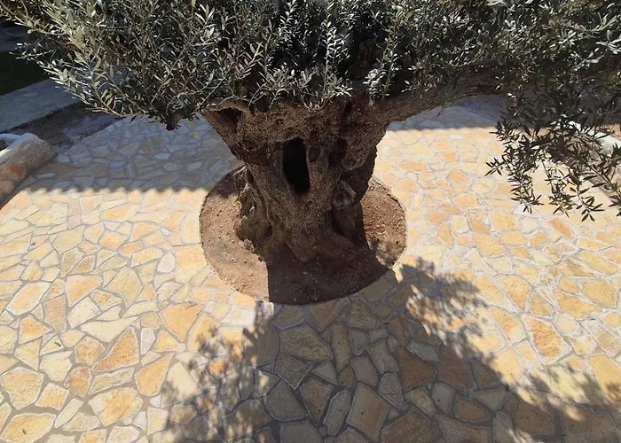 Lägenhetshotell O Kipos